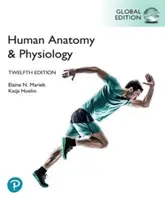 Anatomie humaine et physiologie, édition mondiale - Human Anatomy & Physiology, Global Edition
