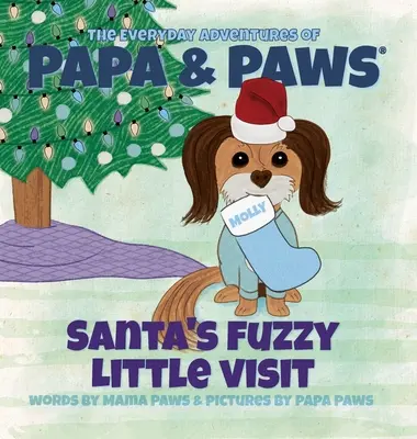 La petite visite du Père Noël - Santa's Fuzzy Little Visit