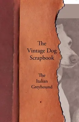 L'album du chien d'époque - Le lévrier italien - The Vintage Dog Scrapbook - The Italian Greyhound