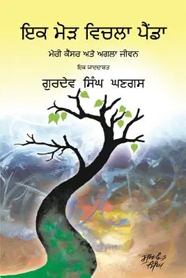 Voyage à travers un tournant : Édition Punjabi - Journey Through a Turning Point: Punjabi Edition