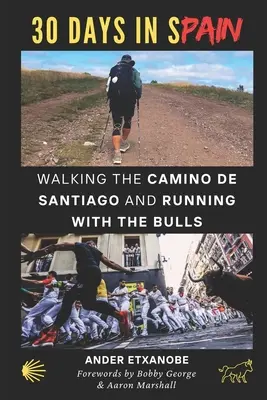 30 jours en Espagne : Marcher sur le Camino de Santiago et courir avec les taureaux - 30 Days in Spain: Walking the Camino de Santiago and Running with the Bulls