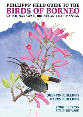 Phillipps' Field Guide to the Birds of Borneo : Sabah, Sarawak, Brunei, and Kalimantan - Fully Revised Third Edition (Guide de terrain des oiseaux de Bornéo : Sabah, Sarawak, Brunei et Kalimantan - entièrement révisé) - Phillipps' Field Guide to the Birds of Borneo: Sabah, Sarawak, Brunei, and Kalimantan - Fully Revised Third Edition