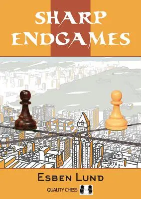 Les jeux de fin d'année - Sharp Endgames