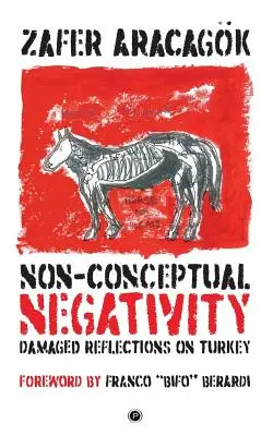 La négativité non conceptuelle : Réflexions endommagées sur la Turquie - Non-Conceptual Negativity: Damaged Reflections on Turkey