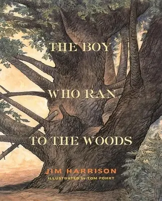 Le garçon qui courait dans les bois - The Boy Who Ran to the Woods