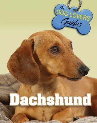Teckel - Dachshund