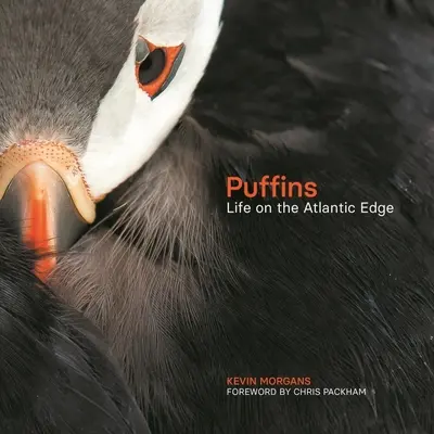 Puffins : La vie au bord de l'Atlantique - Puffins: Life on the Atlantic Edge