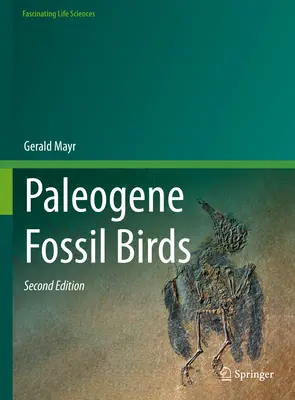 Oiseaux fossiles du Paléogène - Paleogene Fossil Birds