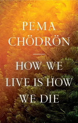 La façon dont nous vivons est la façon dont nous mourons - How We Live Is How We Die