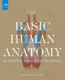 Anatomie humaine de base : Un guide visuel essentiel pour les artistes - Basic Human Anatomy: An Essential Visual Guide for Artists