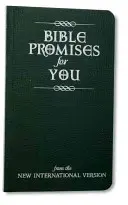 Promesses bibliques pour vous : De la nouvelle version internationale - Bible Promises for You: From the New International Version