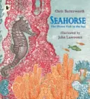 L'hippocampe : le poisson le plus timide de la mer - Seahorse: The Shyest Fish in the Sea