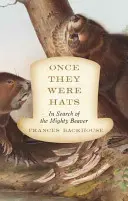 Il était une fois des chapeaux : à la recherche du grand castor - Once They Were Hats: In Search of the Mighty Beaver