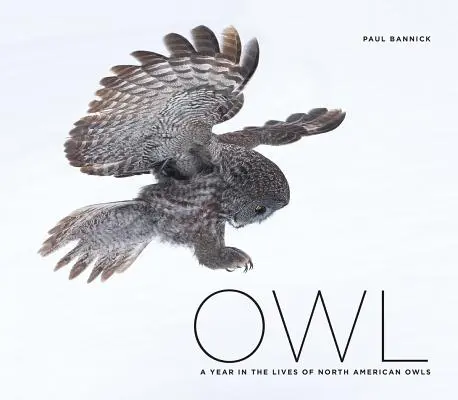 Hibou : une année dans la vie des hiboux d'Amérique du Nord - Owl: A Year in the Lives of North American Owls