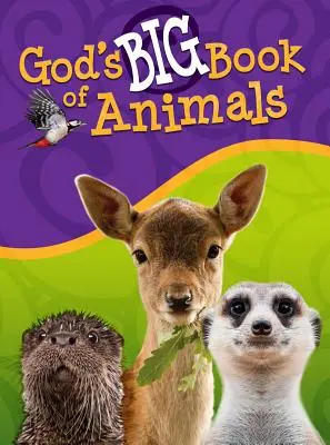 Le grand livre des animaux de Dieu - God's Big Book of Animals