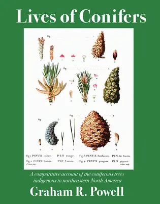 La vie des conifères : Une étude comparative des conifères indigènes du nord-est de l'Amérique du Nord - Lives of Conifers: A Comparative Account of the Coniferous Trees Indigenous to Northeastern North America