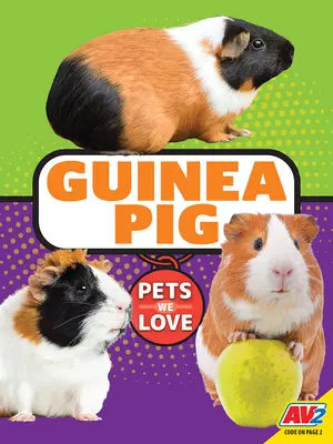 Cochon d'Inde - Guinea Pig