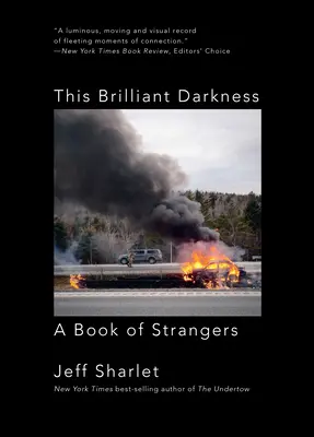 Cette Brillante Obscurité : Un livre d'étrangers - This Brilliant Darkness: A Book of Strangers