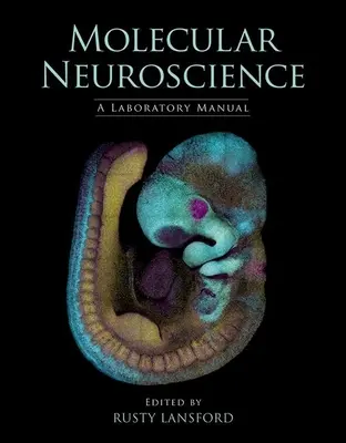 Les neurosciences moléculaires : Manuel de laboratoire - Molecular Neuroscience: A Laboratory Manual