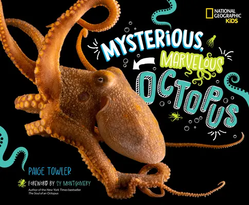 Mystérieuse et merveilleuse pieuvre ! - Mysterious, Marvelous Octopus!