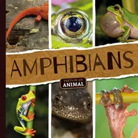 Amphibiens - Amphibians