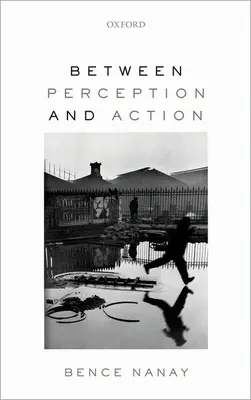 Entre la perception et l'action - Between Perception and Action