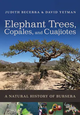 Elephant Trees, Copales, and Cuajiotes : Une histoire naturelle de la Bursera - Elephant Trees, Copales, and Cuajiotes: A Natural History of Bursera