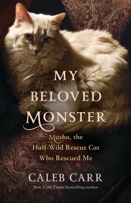 Mon monstre bien-aimé : Masha, le chat à moitié sauvage qui m'a sauvée - My Beloved Monster: Masha, the Half-Wild Rescue Cat Who Rescued Me