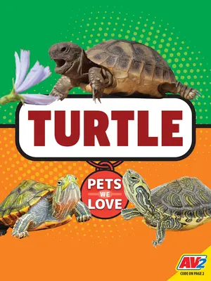 Tortue - Turtle