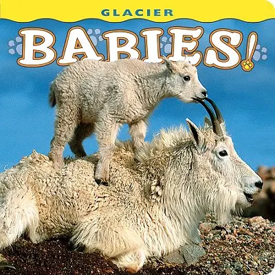 Les bébés des glaciers ! - Glacier Babies!