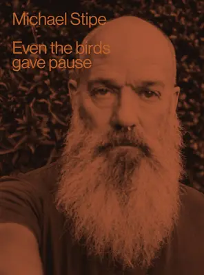 Michael Stipe : Même les oiseaux ont fait une pause - Michael Stipe: Even the Birds Gave Pause