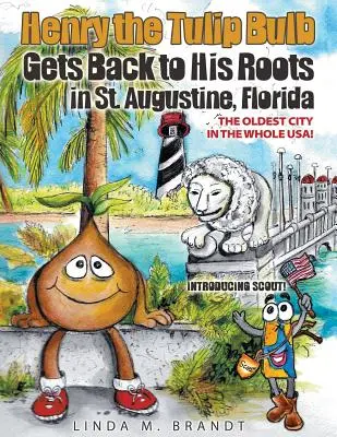 Henry le bulbe de tulipe retrouve ses racines à St. Augustine, en Floride - Henry the Tulip Bulb Gets Back to His Roots in St. Augustine, Florida