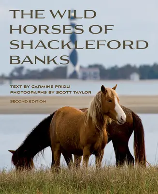 Les chevaux sauvages de Shackleford Banks - Wild Horses of Shackleford Banks