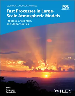 Fast Processes in Large-Scale Atmospheric Models : Progrès, défis et opportunités - Fast Processes in Large-Scale Atmospheric Models: Progress, Challenges, and Opportunities