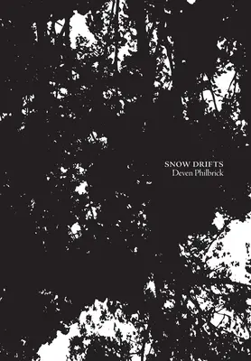 Glissements de terrain - Snow Drifts