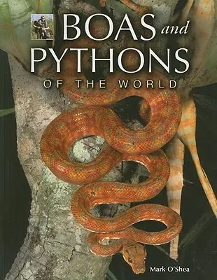 Boas et pythons du monde - Boas and Pythons of the World