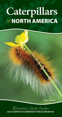 Les chenilles d'Amérique du Nord : Identifier facilement 90 papillons et papillons de nuit communs - Caterpillars of North America: Easily Identify 90 Common Butterflies and Moths