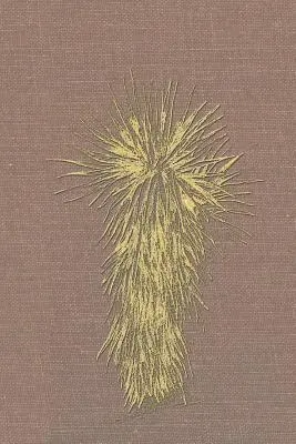 Marfa et le comté de Presidio, Texas : Une étude sociale, économique et culturelle de 1937 à 2008 Volume 2, 1990-2008 - Marfa and Presidio County, Texas: A Social, Economic, and Cultural Study 1937 to 2008 Volume Two, 1990-2008