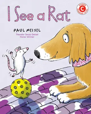 Je vois un rat - I See a Rat