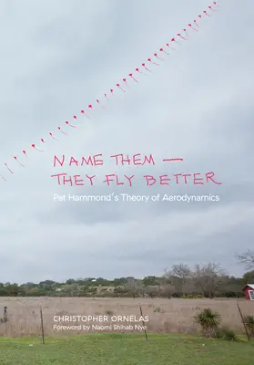 Nommez-les, ils volent mieux : La théorie aérodynamique de Pat Hammond - Name Them--They Fly Better: Pat Hammond's Theory of Aerodynamics