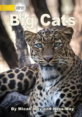 Les grands chats - Big Cats