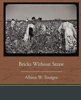Des briques sans paille - Bricks Without Straw