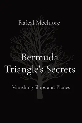 Les secrets du triangle des Bermudes : La disparition des navires et des avions - Bermuda Triangle's Secrets: Vanishing Ships and Planes