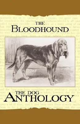 The Bloodhound - Une anthologie canine - The Bloodhound - A Dog Anthology