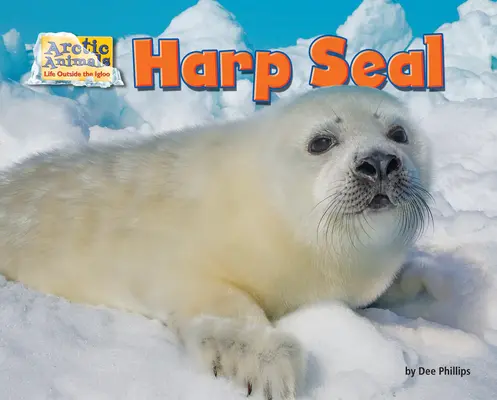 Le phoque du Groenland - Harp Seal