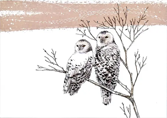 Cartes de vœux de luxe Snowy Owls - Snowy Owls Deluxe Boxed Holiday Cards