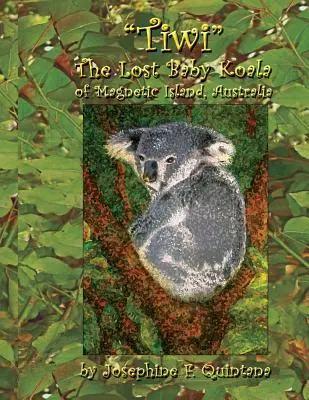 Tiwi, le bébé koala perdu de l'île magnétique, Australie - Tiwi, the Lost Baby Koala of Magnetic Island, Australia