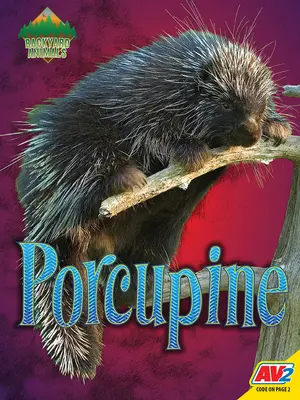 Porc-épic - Porcupine