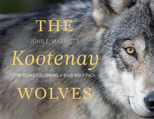 Les loups de Kootenay : Cinq années à suivre une meute de loups sauvages - The Kootenay Wolves: Five Years Following a Wild Wolf Pack