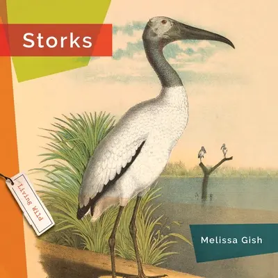 Cigognes - Storks